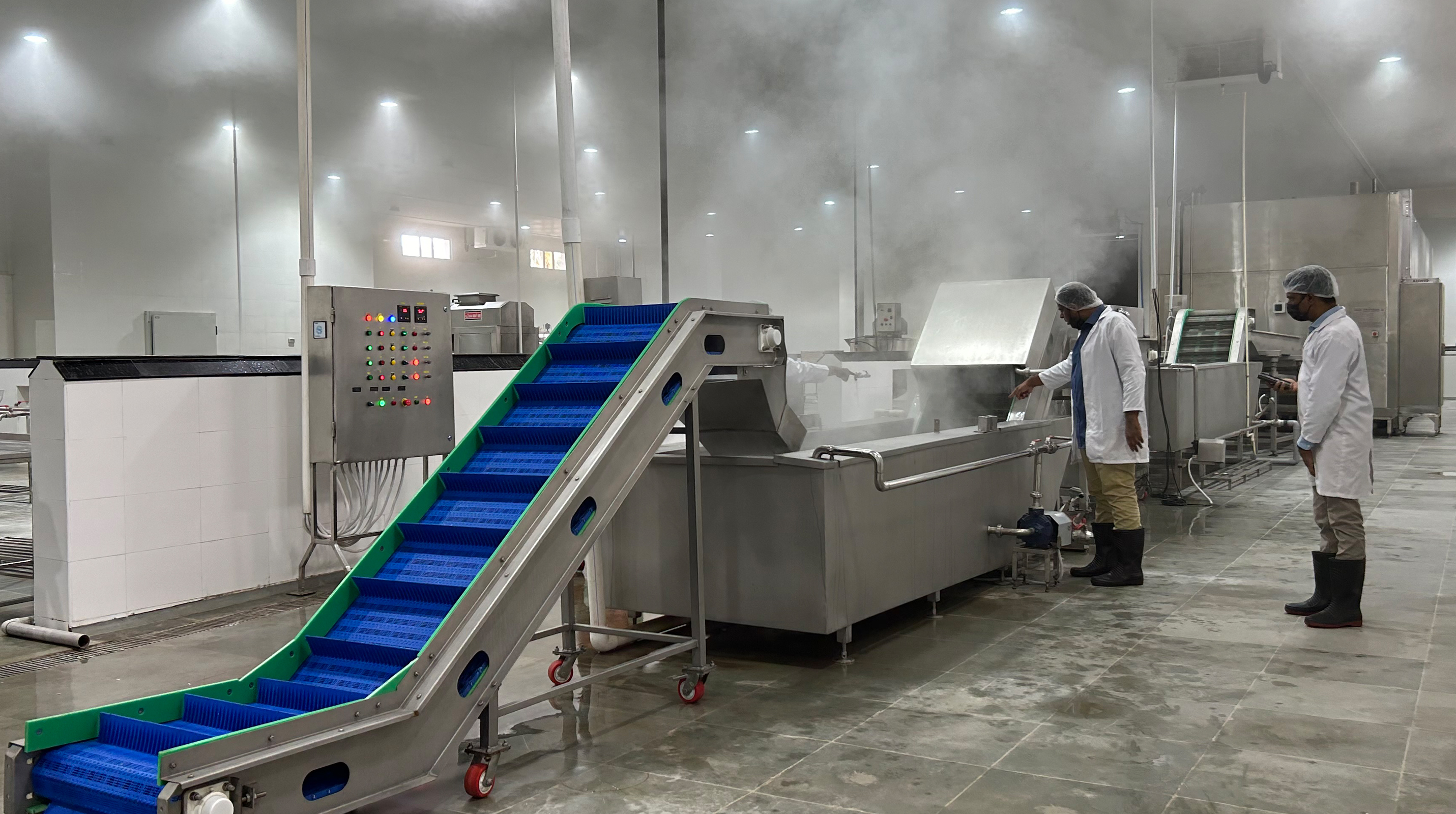 Fruits & Vegetables Washing & Drying Line 